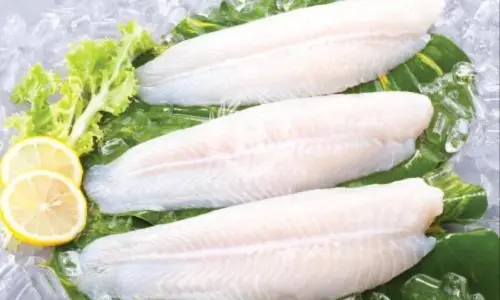 Basa_Fillet seafood