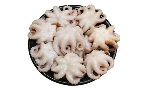 Octopus seafood