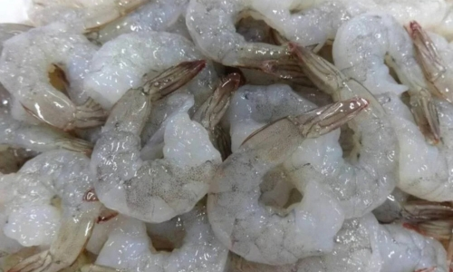 Prawns Tailon seafood wholesale supplier kochi